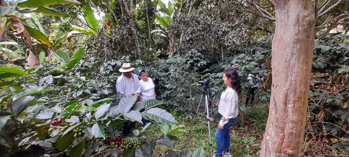 Finca de Café Bosánico